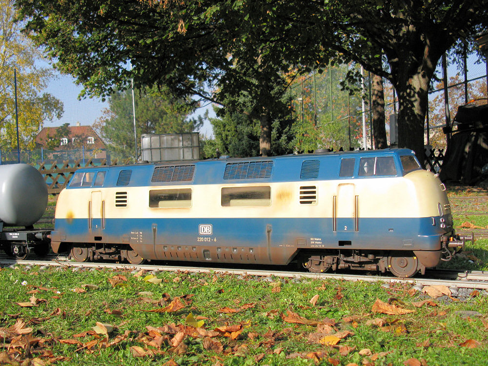 220 012-6 (Spur 5) von Anonymus. DBC Rhein-Main Gustavsburg Oktober 2010.