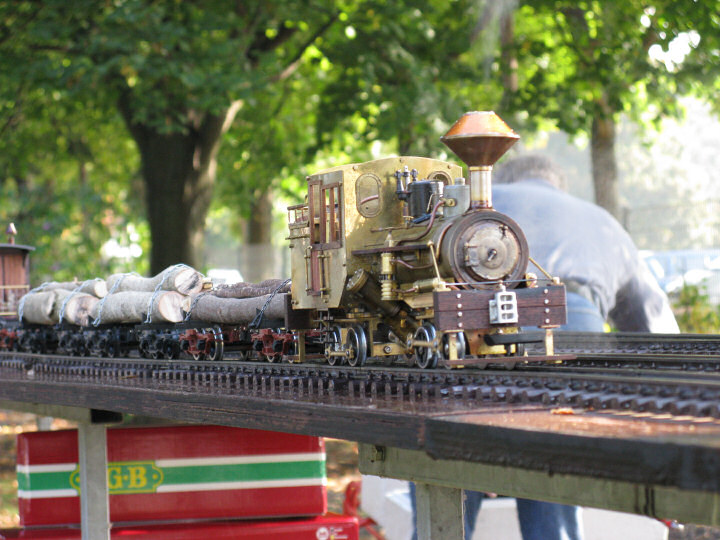 Heisler-Waldbahnlokomotive (Spur 45mm) von H. Pietsch.